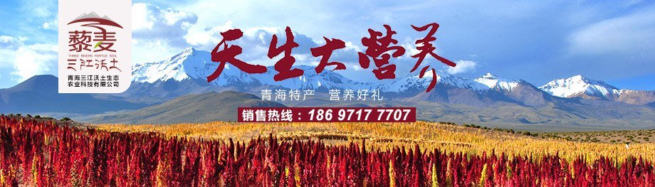 &#112;&#103;&#30005;&#23376;&#27169;&#25311;&#22120;&#40;&#35797;&#29609;&#28216;&#25103;&#41;&#23448;&#26041;&#32593;&#31449;